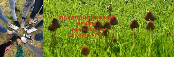 эйфоретик Иннополис