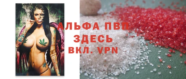 эйфоретик Иннополис