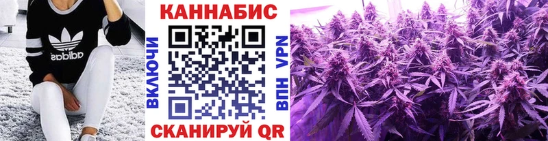 МАРИХУАНА план  Купить закладки  Болгар 